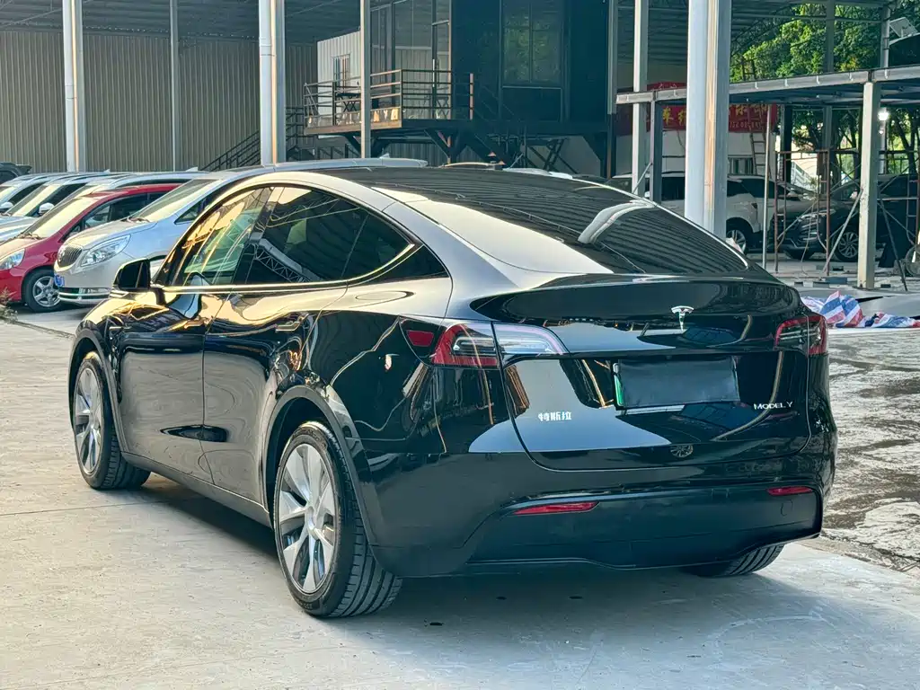 Tesla Model Y — миниатюра 4