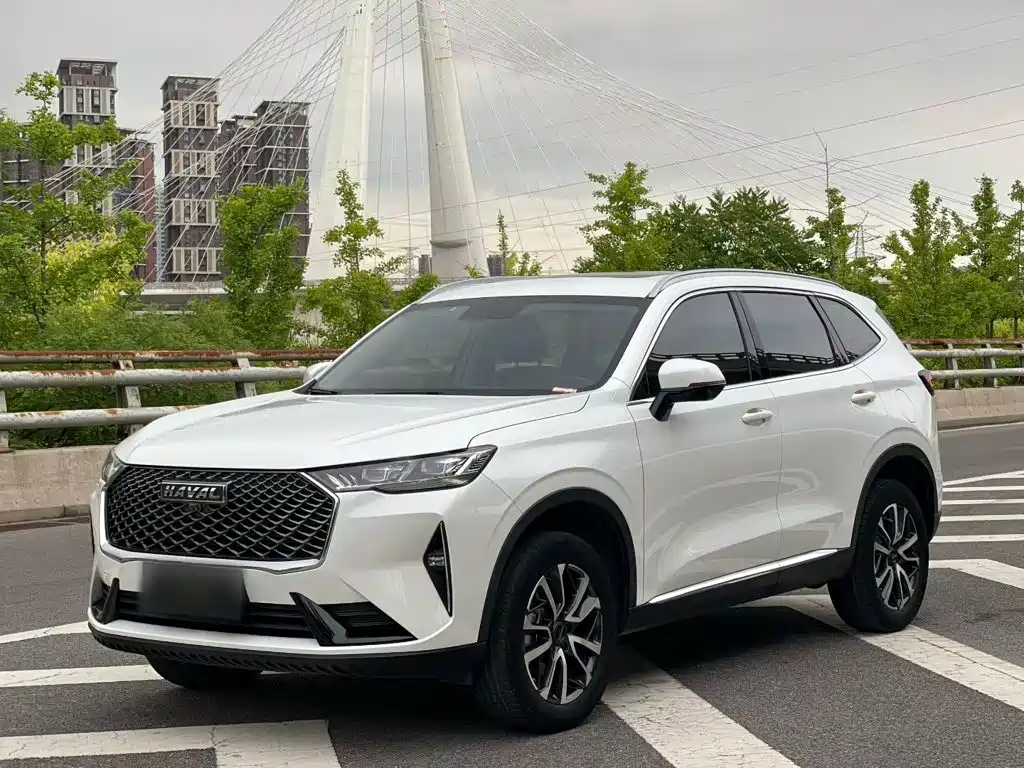 Haval Chulian — миниатюра 24