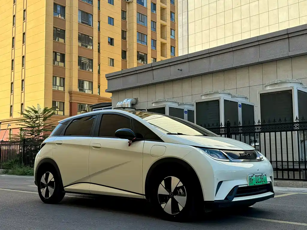 BYD Dolphin — миниатюра 2