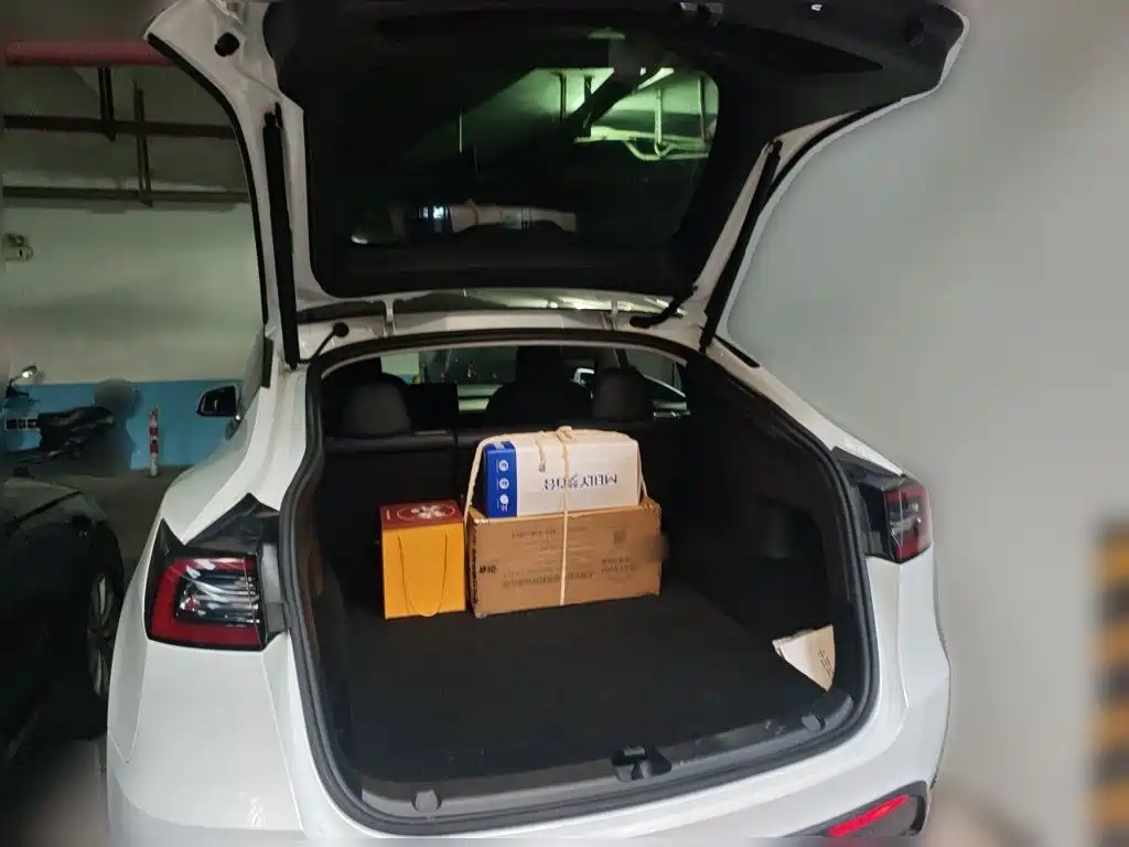 Tesla Model Y — миниатюра 10