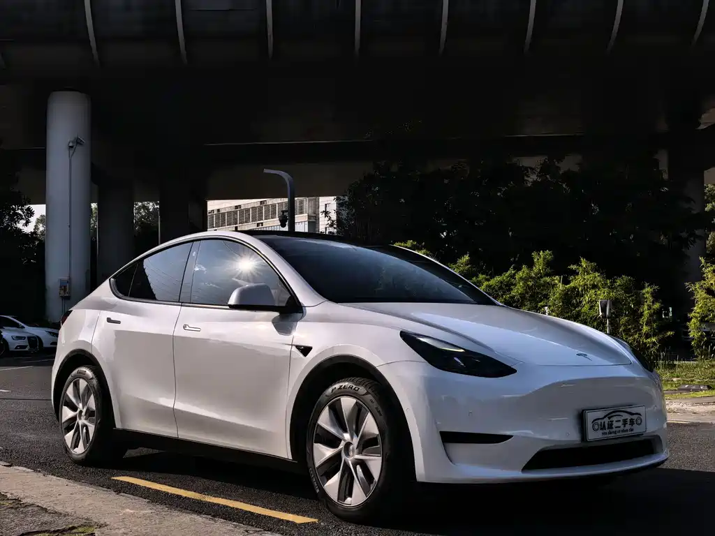 Tesla Model Y — миниатюра 3