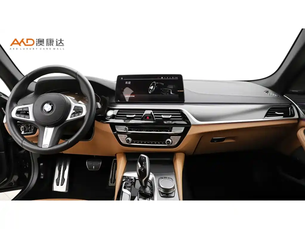 BMW 5 Series 5 2022 525i M Sport