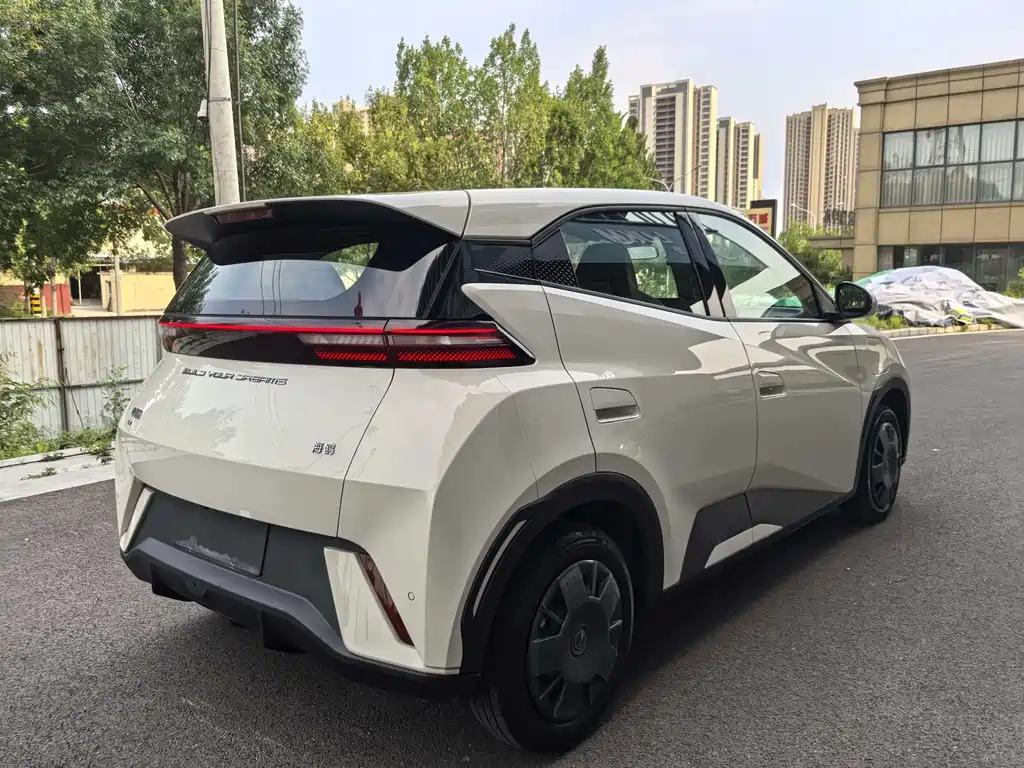 BYD Seagull