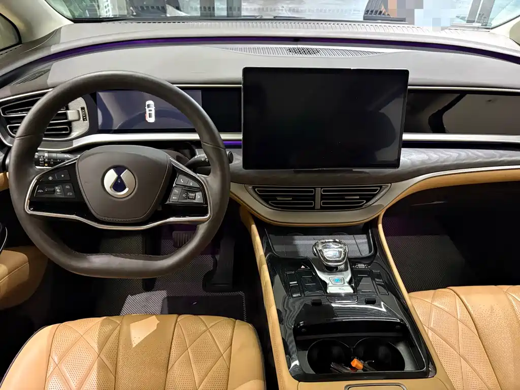 Denza Denza D9 — миниатюра 4