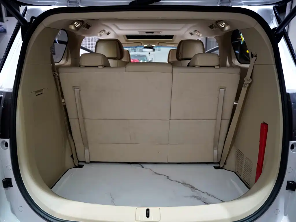 Buick GL8 — миниатюра 13
