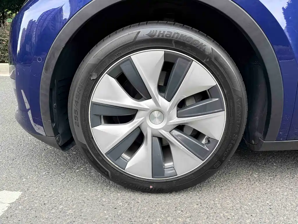 Tesla Model Y — миниатюра 4