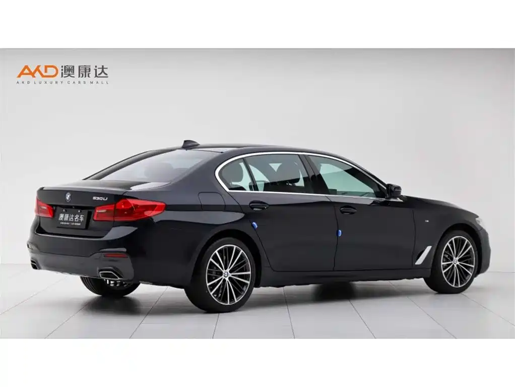 BMW 5 Series 5 2020 530Li Premium M Sport