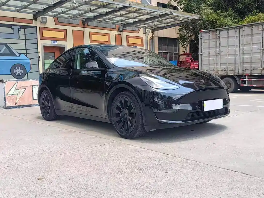 Tesla Model Y — миниатюра 3