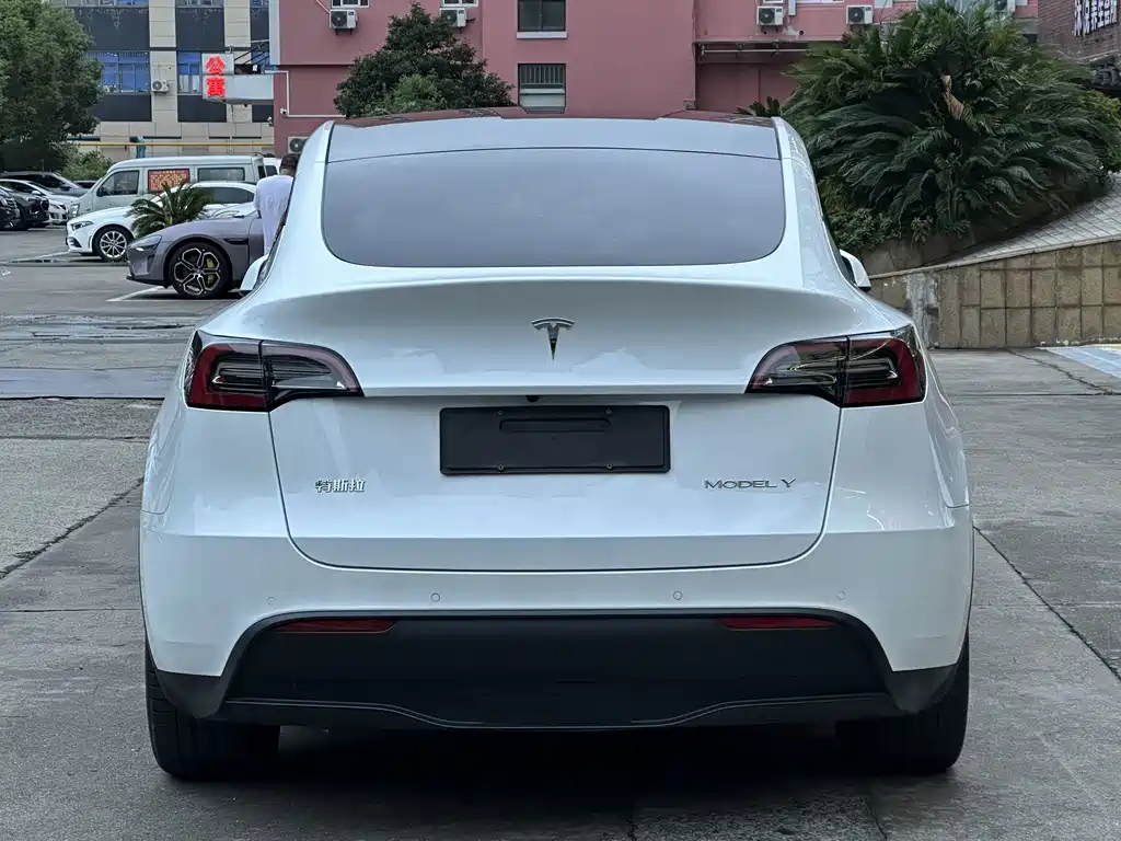 Tesla Model Y — миниатюра 15
