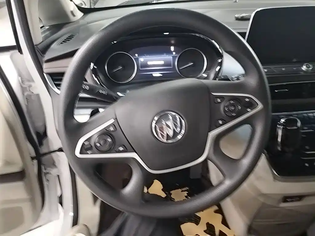 Buick GL8 — миниатюра 11