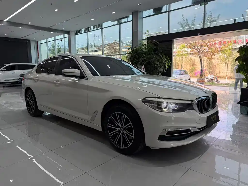 BMW 5 Series (Import) 2019