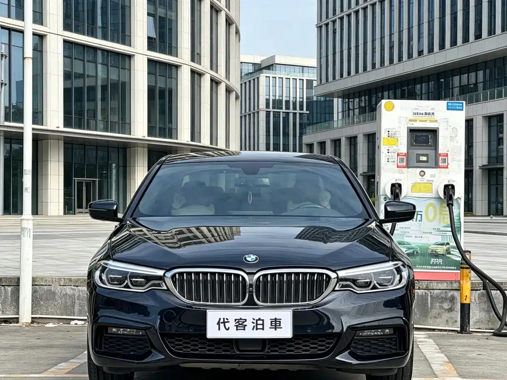 BMW 5 Series 5 2019 530Li Premium M Sport