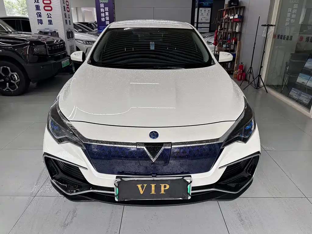 Venucia D60 EV — миниатюра 2