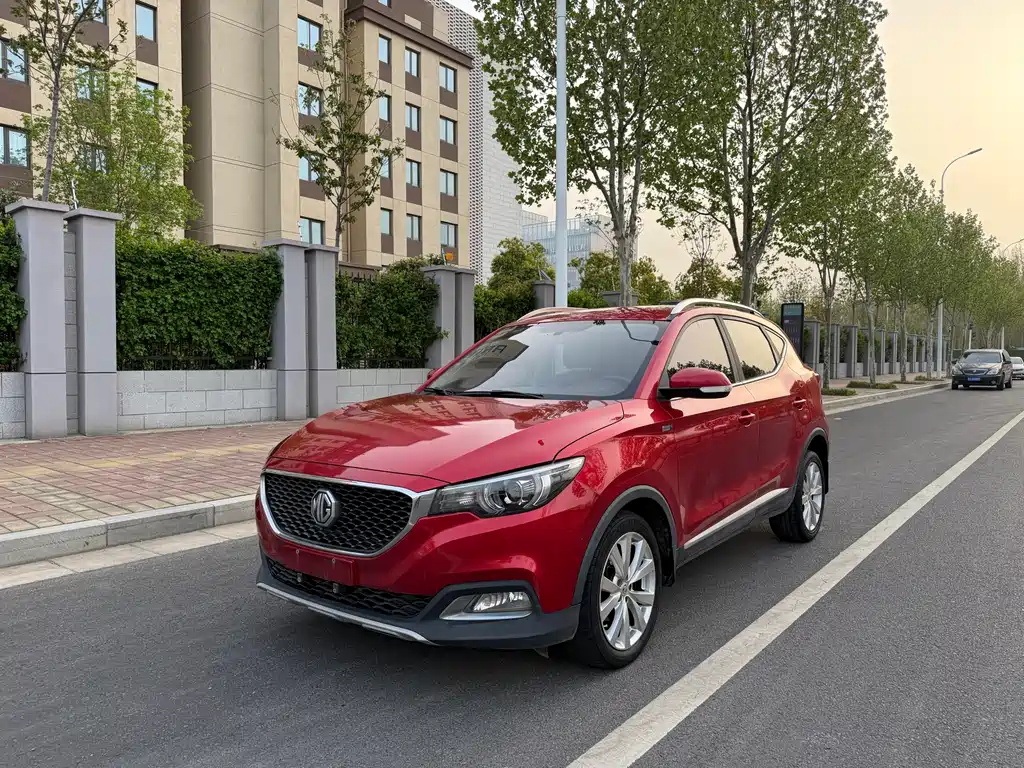 Mg ZS 2017