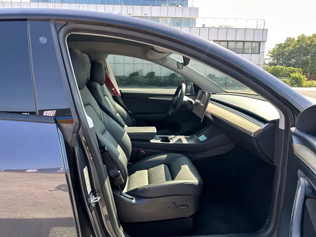 Tesla Model Y — миниатюра 16