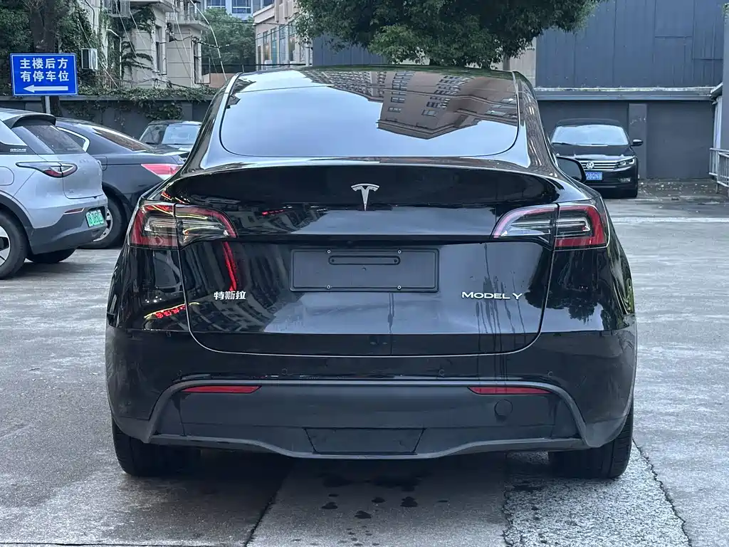 Tesla Model Y — миниатюра 11