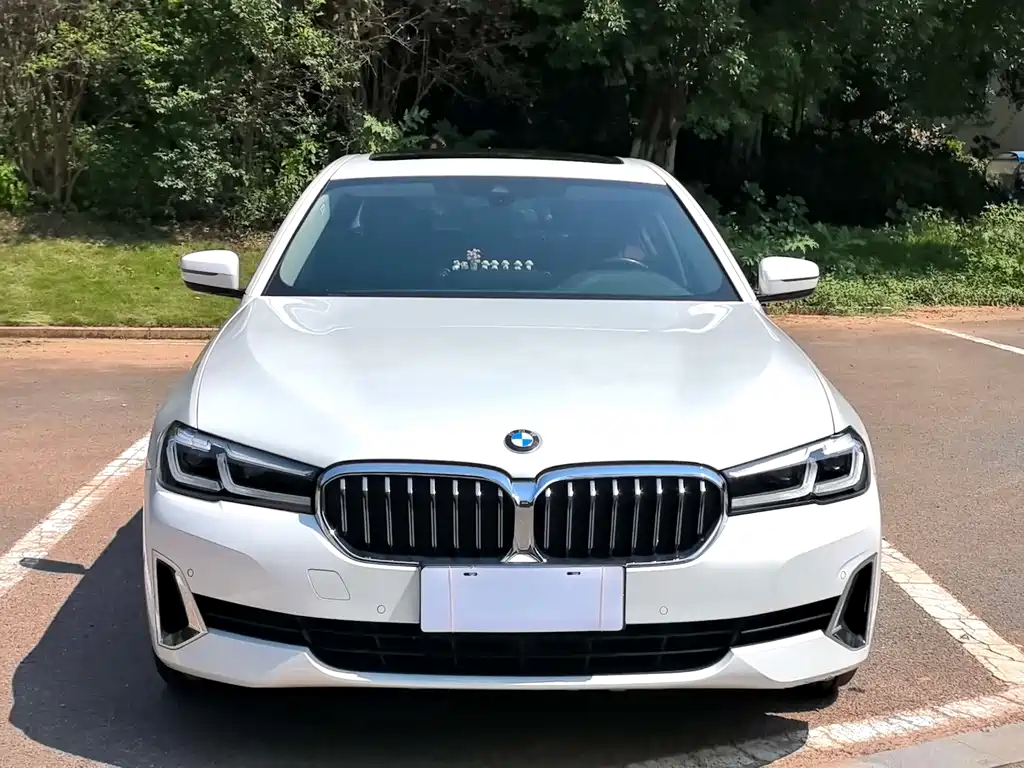 BMW 5 Series — миниатюра 2