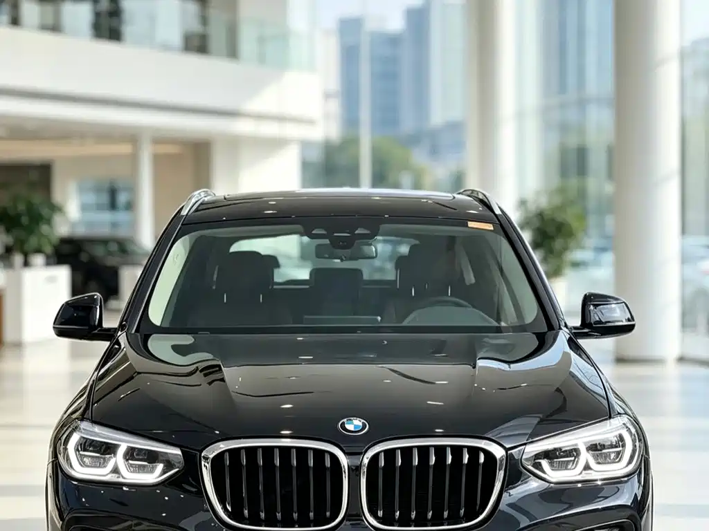 BMW X3 — миниатюра 2