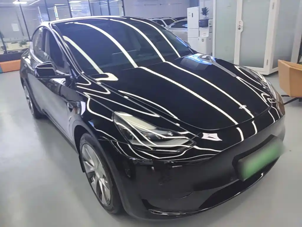 Tesla Model Y — миниатюра 4