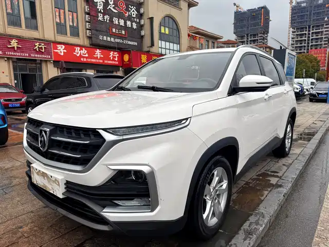 BAOJUN 530 2019