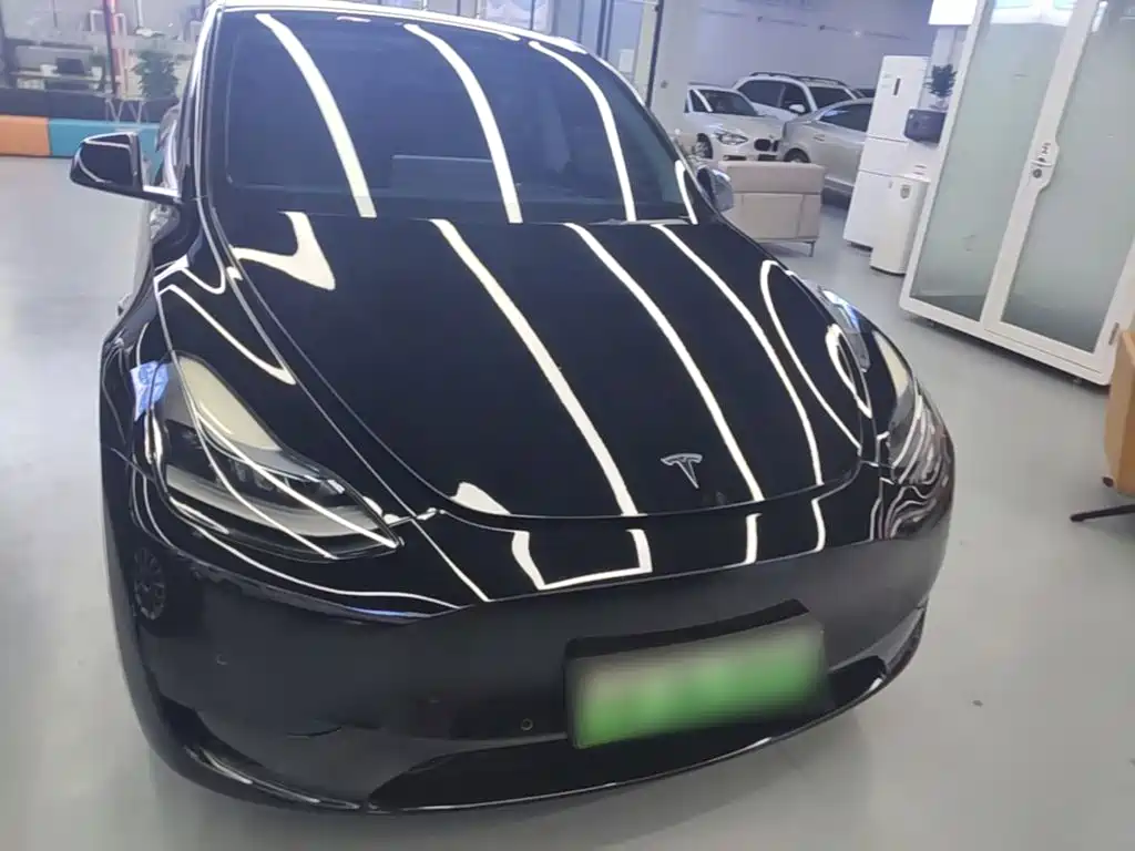 Tesla Model Y — миниатюра 3