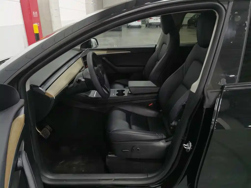 Tesla Model Y — миниатюра 10