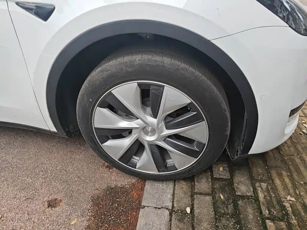 Tesla Model Y — миниатюра 25