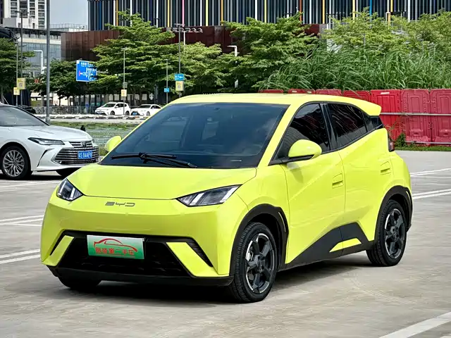 2024 BYD Seagull