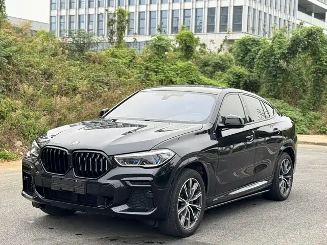 BMW X6
