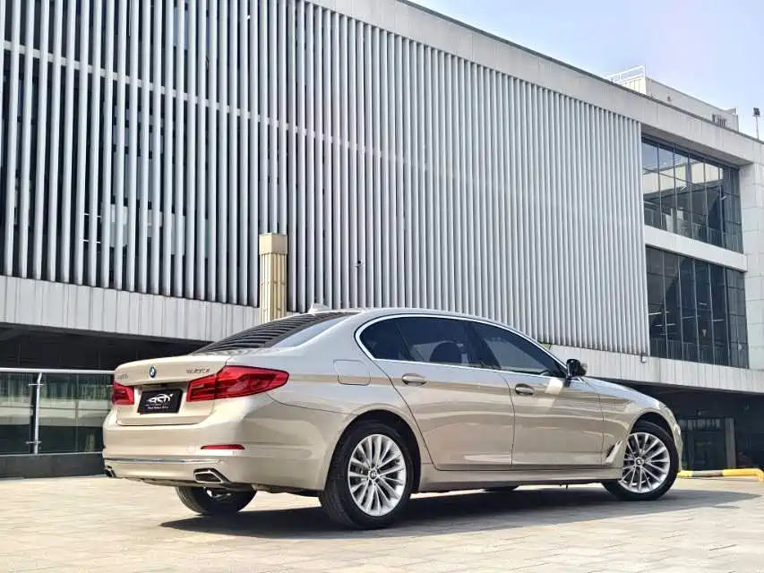 BMW 5 Series 5 2020 530Li Lead Luxury