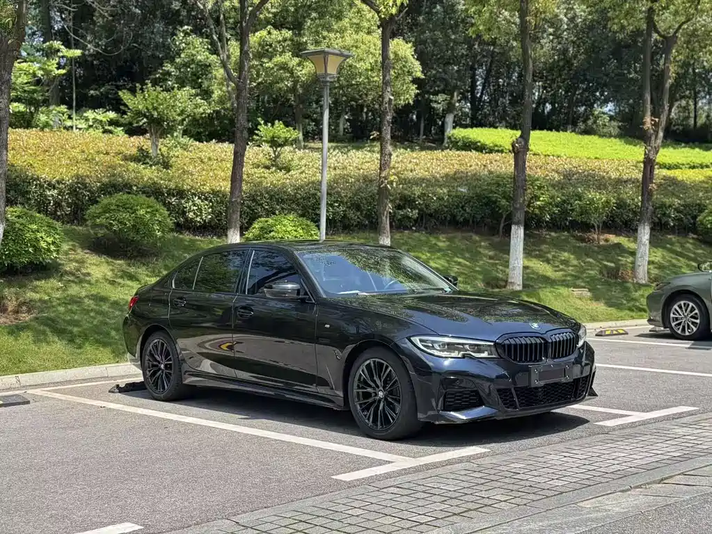 BMW 3 Series 3 2022 325Li M Sport