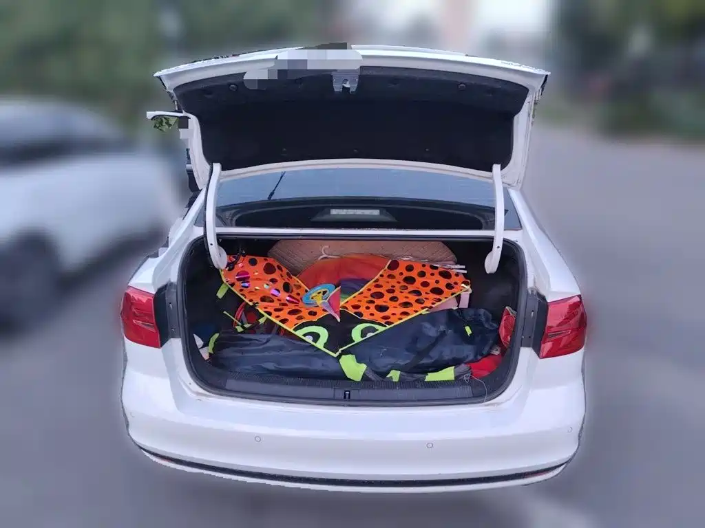 Volkswagen Bora — миниатюра 15