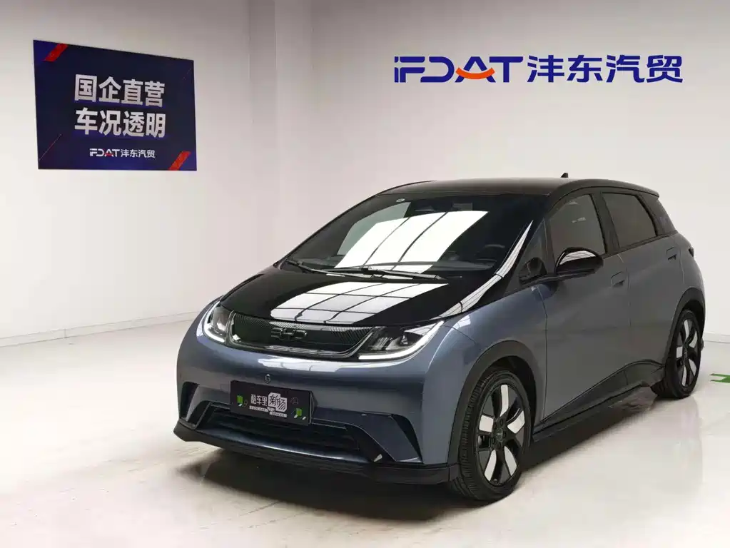 BYD Dolphin