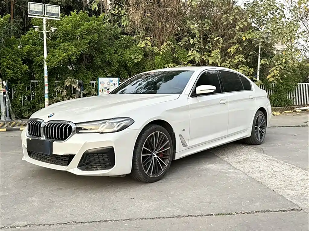 BMW 5 Series 2020