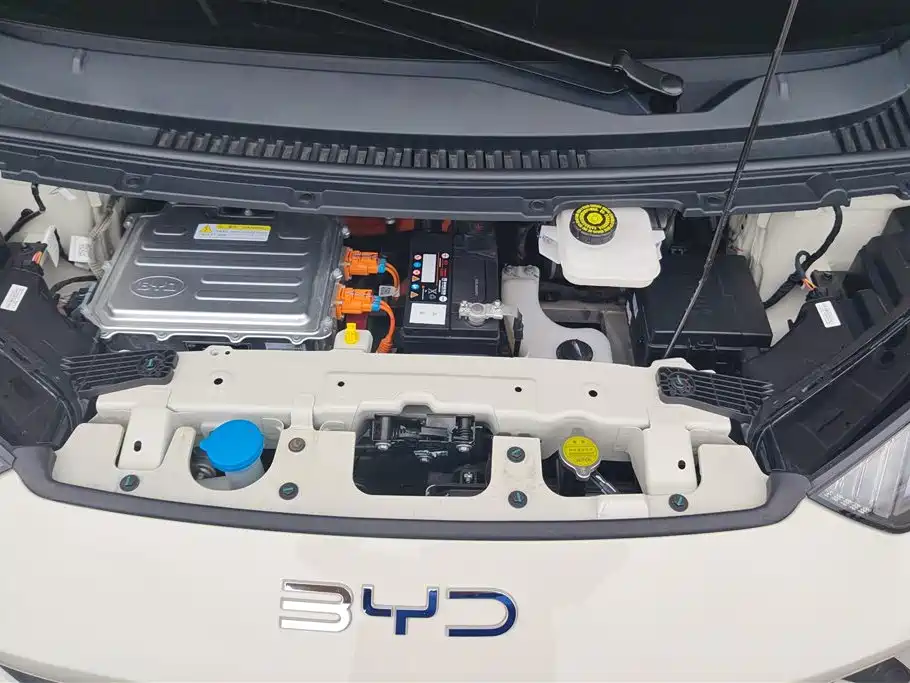 BYD Seagull 2024 305km Freedom