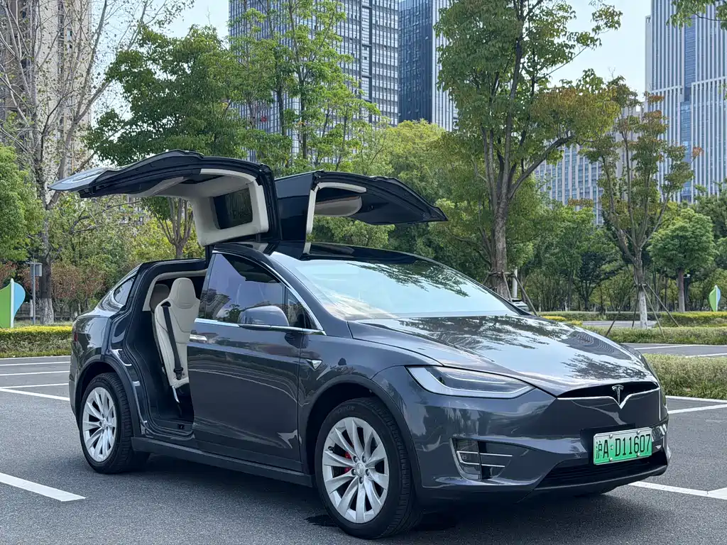 Tesla Model X — миниатюра 3