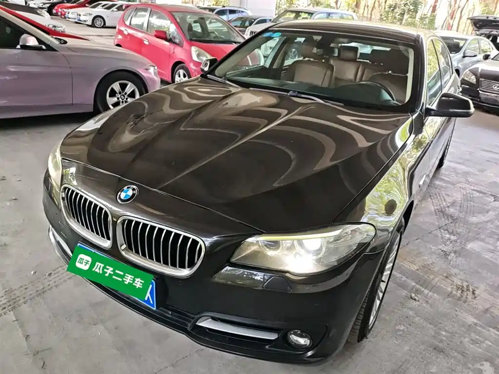 BMW 5 Series 5 2014 525Li Lead