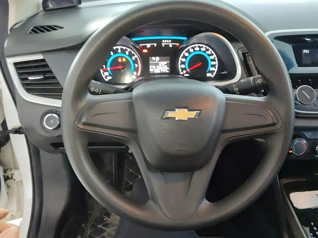 Chevrolet Cavalier — миниатюра 11