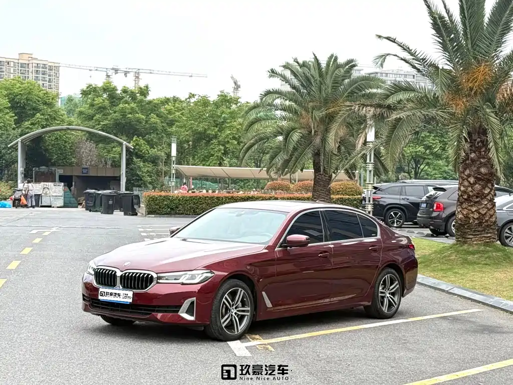Купить BMW 5 Series