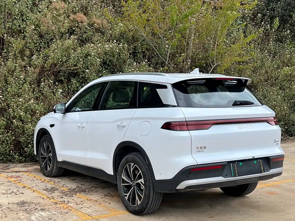 BYD SONGJIANG NEW ENERGY