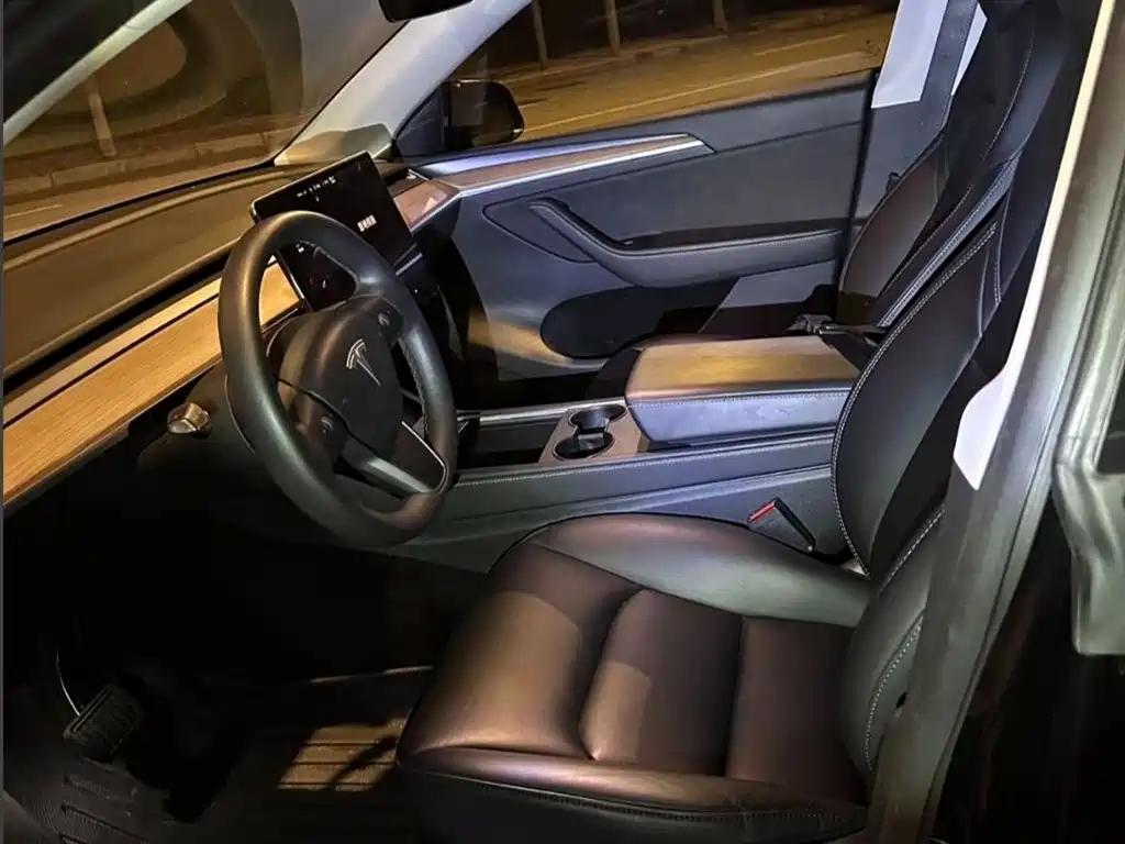 Tesla Model Y — миниатюра 13