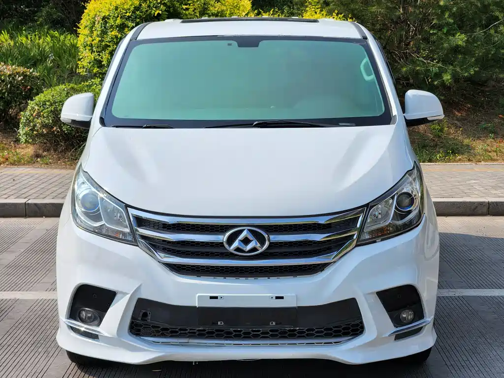 SAIC MAXUS CHASE G10