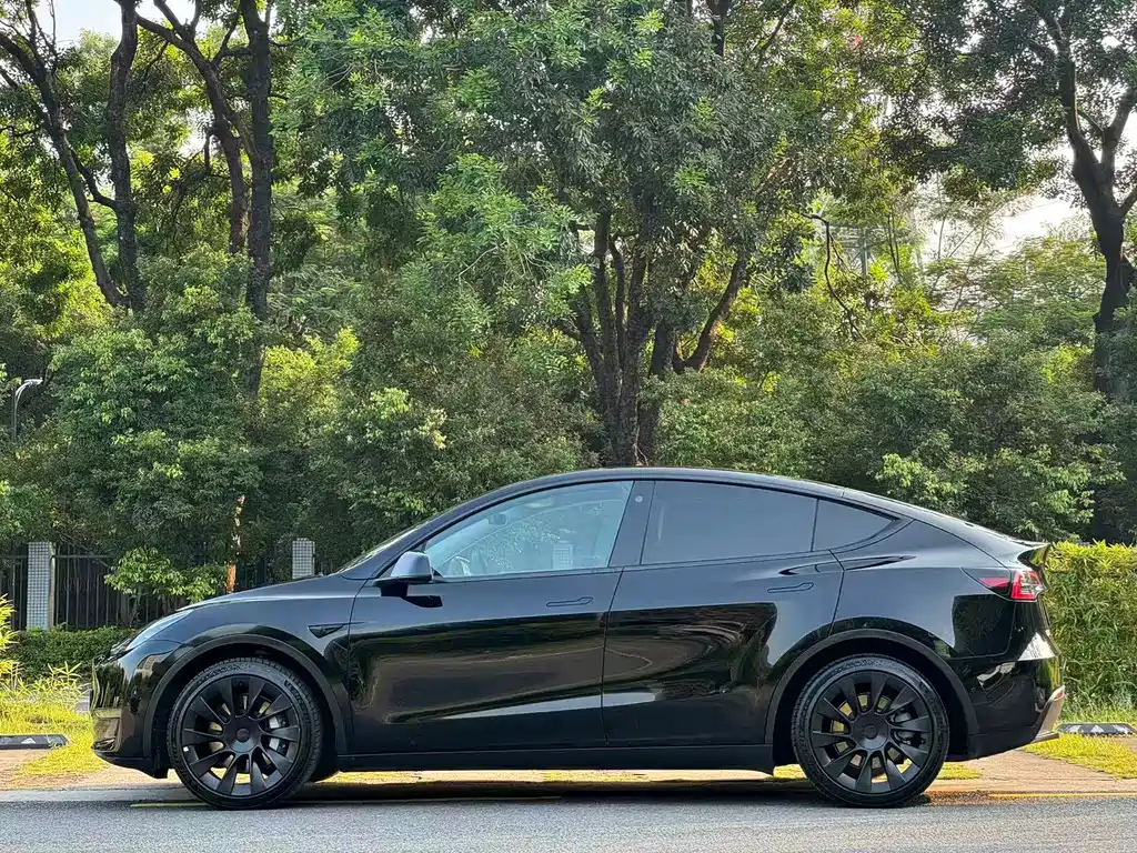 Tesla Model Y — миниатюра 3