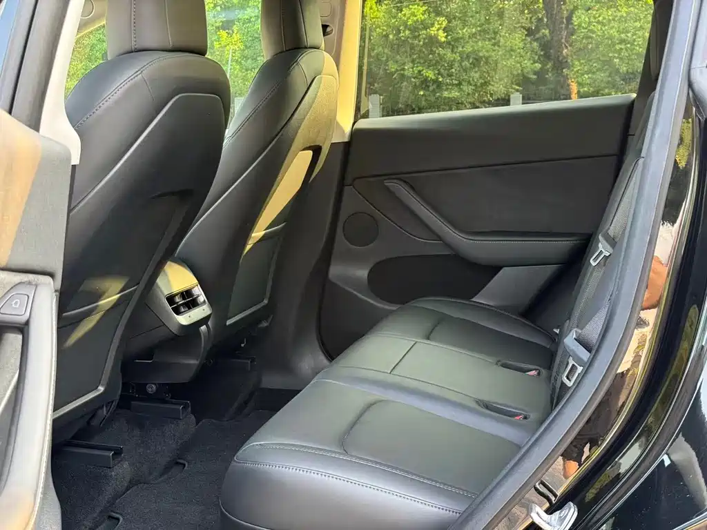 Tesla Model Y — миниатюра 10