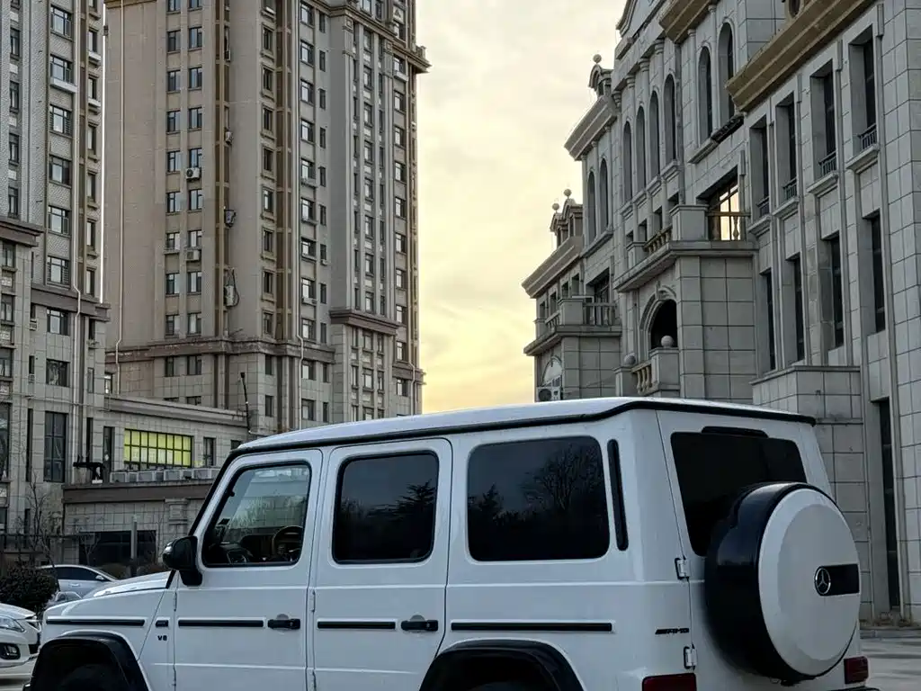 MERCEDES-BENZ G CLASS