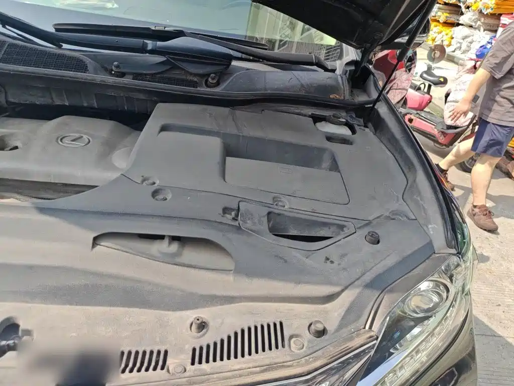 Lexus RX Classic — миниатюра 20