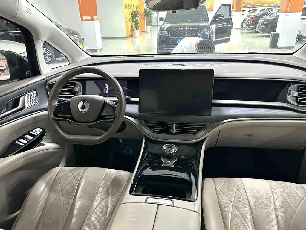 Denza Denza D9 — миниатюра 5