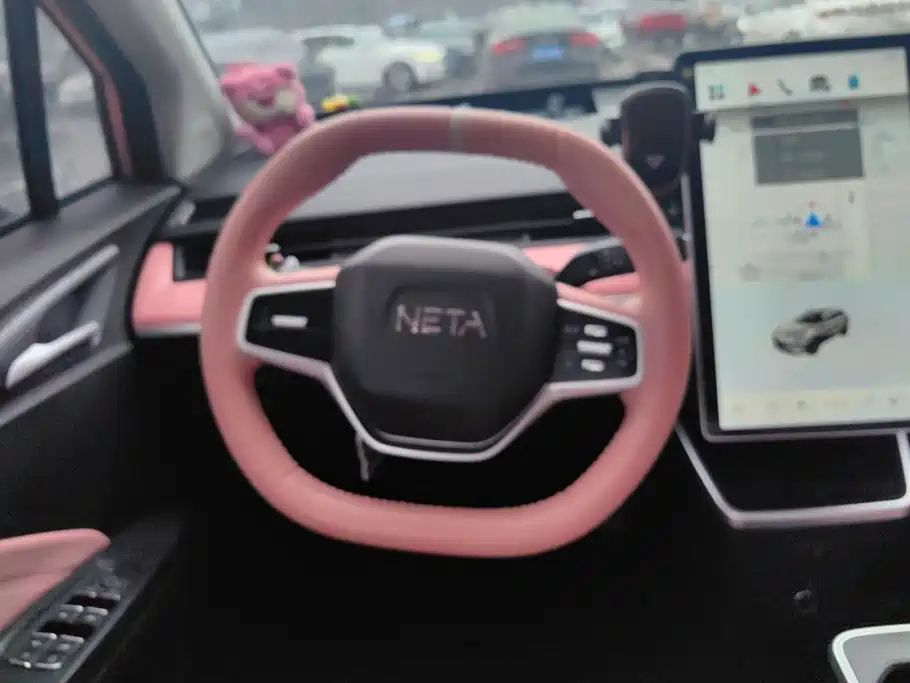 Neta Neta V — миниатюра 15
