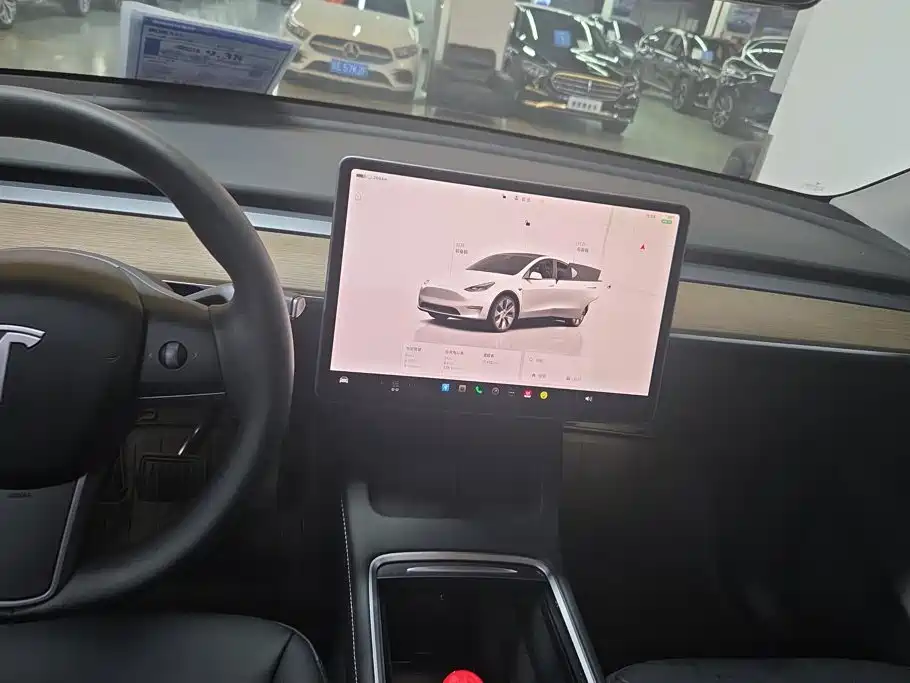 Tesla Model Y — миниатюра 13