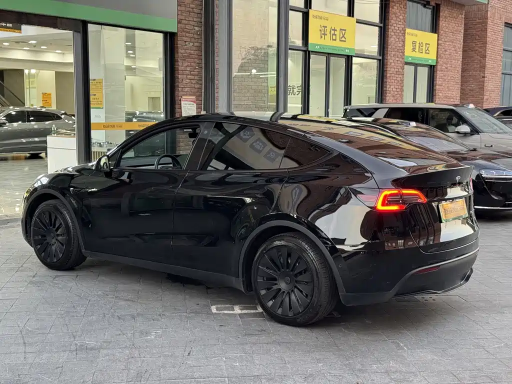 Tesla Model Y — миниатюра 6